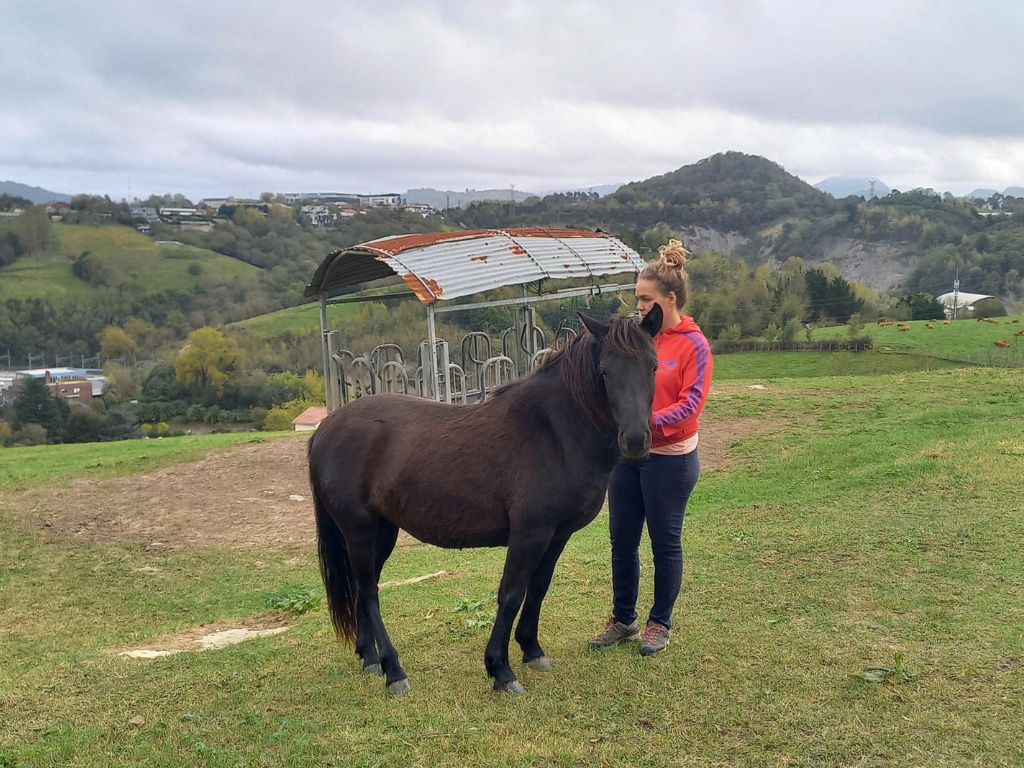Art 1 - Zubixa 1 - 1 Euskal pottoka Elkarrizketa - Art 1 - Zubixa 1